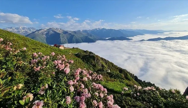 Bungalov Konaklama+Tur(Ayder&Huser Turu)
