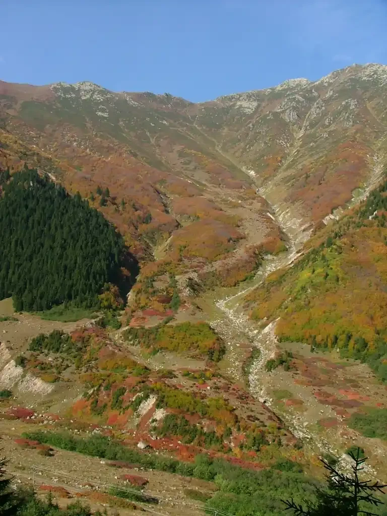Kaçkar VİP Safari ve Trekking Kampı