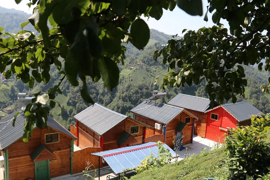 The Reos Suit Bungalov
