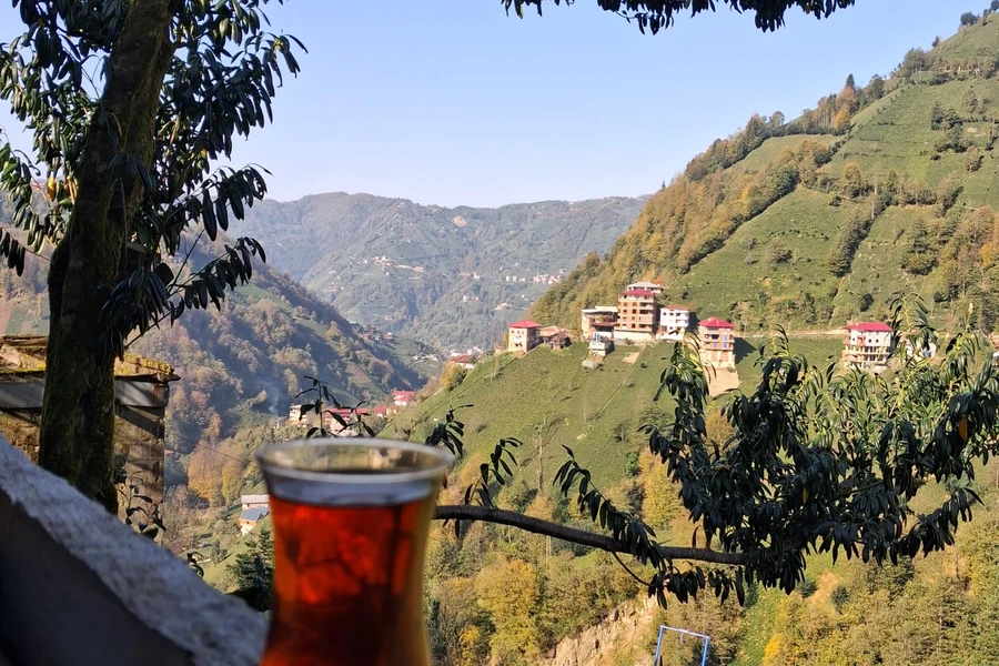 Köy Apart