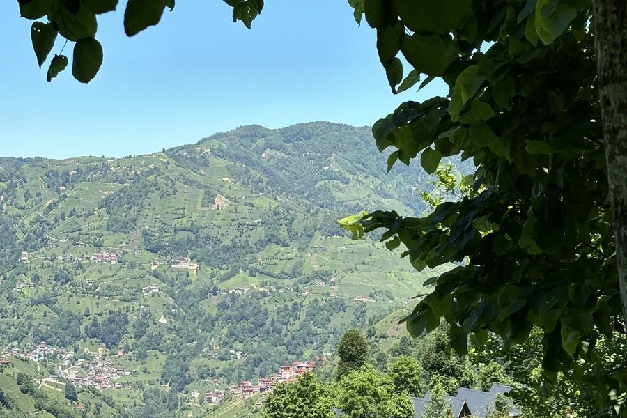 Doğa Life Suit Bungalov
