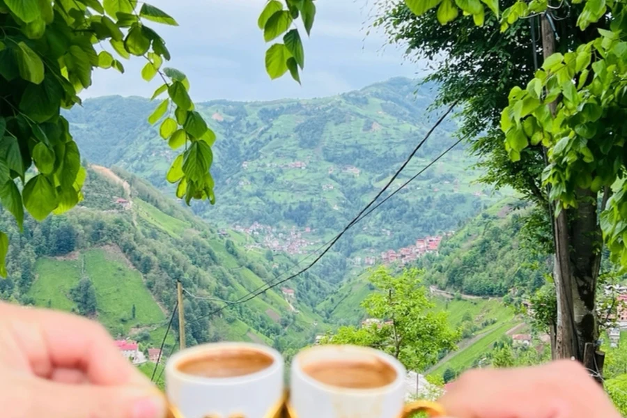 Doğa Life Suit Bungalov