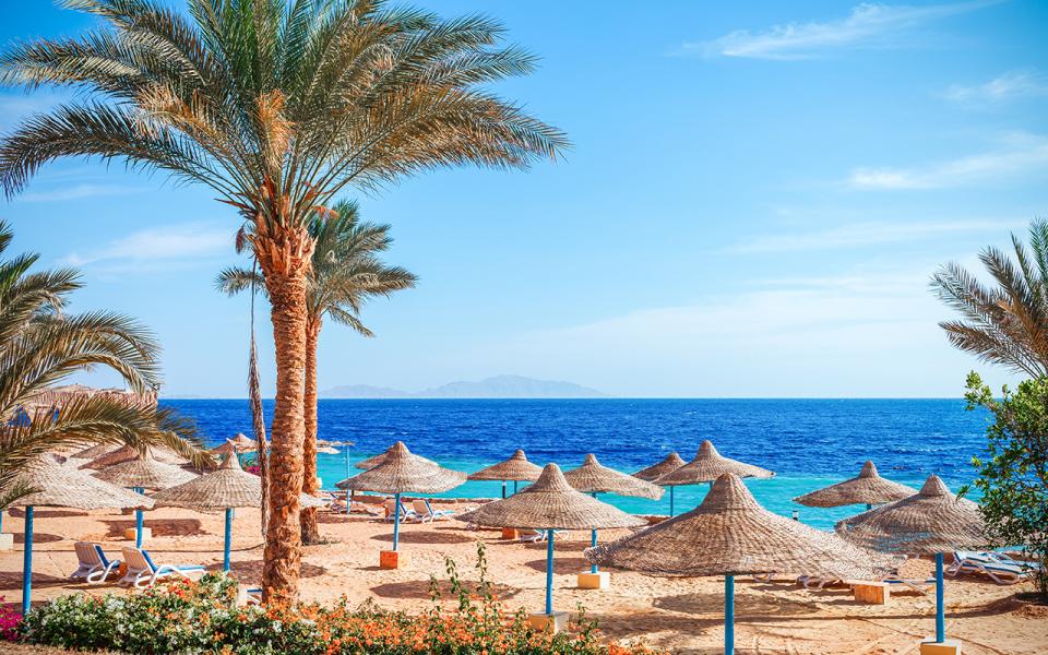 İzmir Hareketli Pegasus İle Sharm El Sheıkh Turu 3 Gece (384)