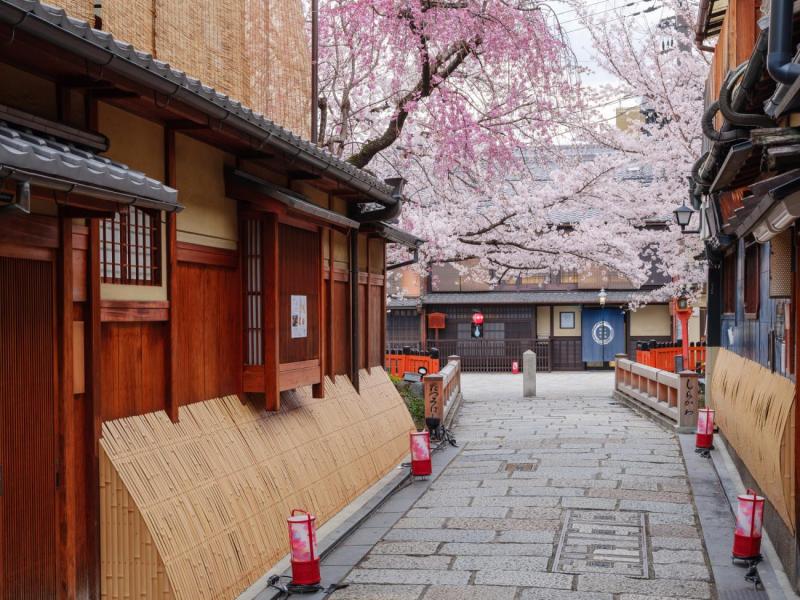 ELEGANT JAPONYA & GÜNEY KORE Türk Hava Yolları ile 9 Gece