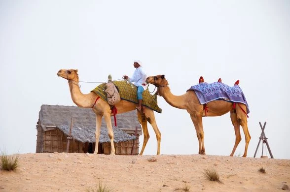 Sheraton Özel 4 Kal 3 Öde Dubai Turu - Emirates ile 4 Gece