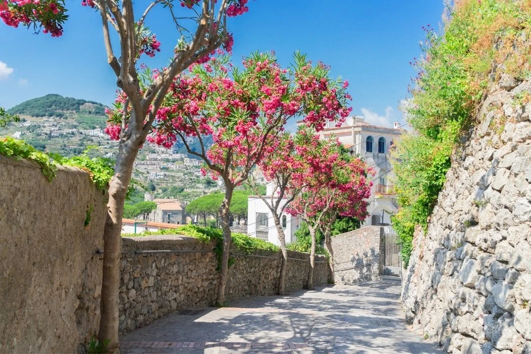 Güney İtalya Amalfi Kıyıları Bari Puglia Turu - 5 Gece (Eylül-Ekim)