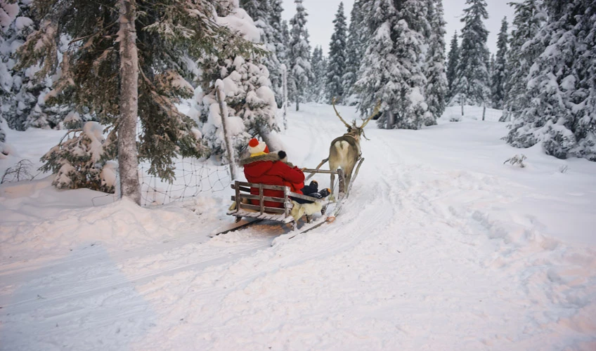 Lapland Kuzey Işıkları Turu - 4 Gece (Santa Claus Express, Buzkıran Gemisi, Kutup Safarileri Dahil)
