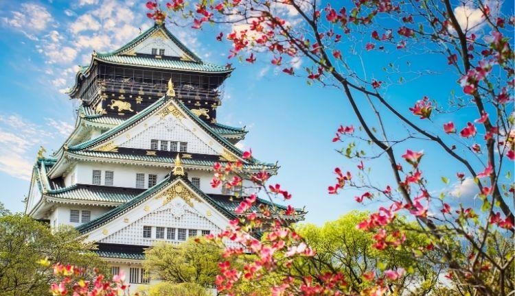 Elegant Japonya & Güney Kore Turu - Thy ile 9 Gece (ICN-NRT)