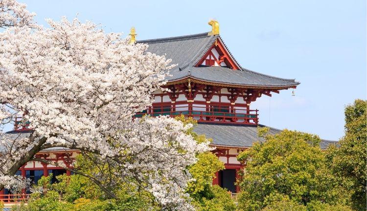 Büyük Japonya Turu - Thy ile 7 Gece