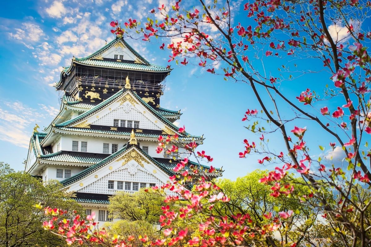 Japonya’ya Ne Zaman Gidilir?
