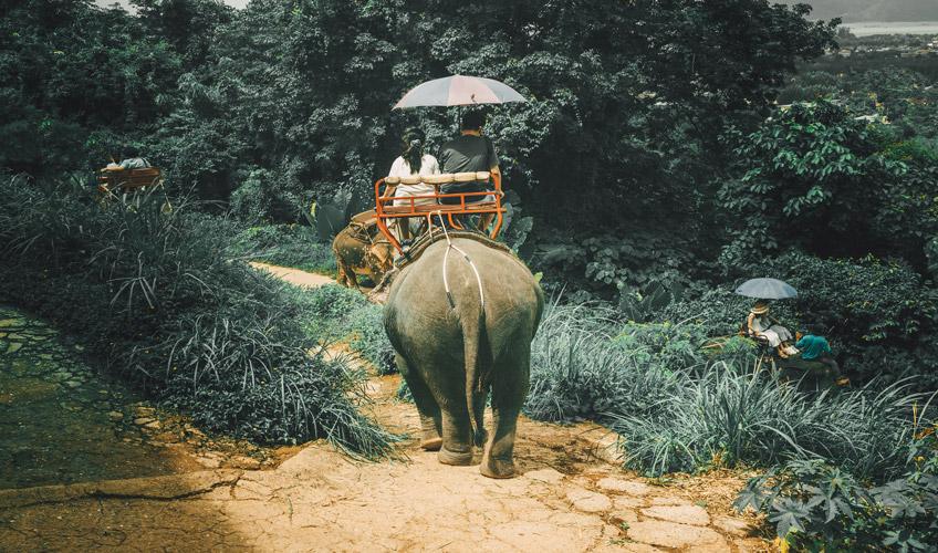 Bangkok-Pattaya-Phuket Turu 7 Gece Saudi Havayolları İle BKK-HKT