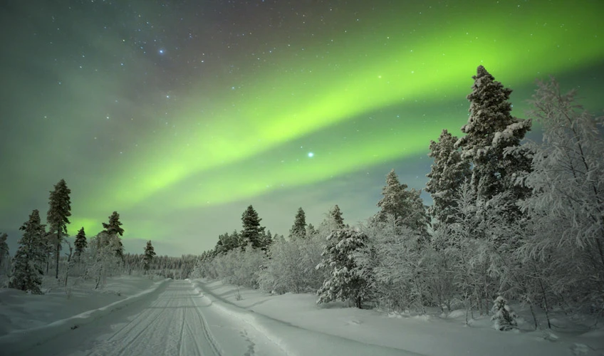 Lapland Kuzey Işıkları Murmansk & St. Petersburg & Moskova Turu Ajet İle 5 Gece Vize Dahil