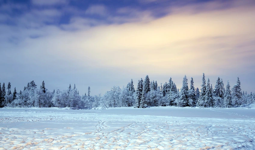 Lapland Kuzey Işıkları Murmansk & St. Petersburg & Moskova Turu Ajet İle 5 Gece Vize Dahil