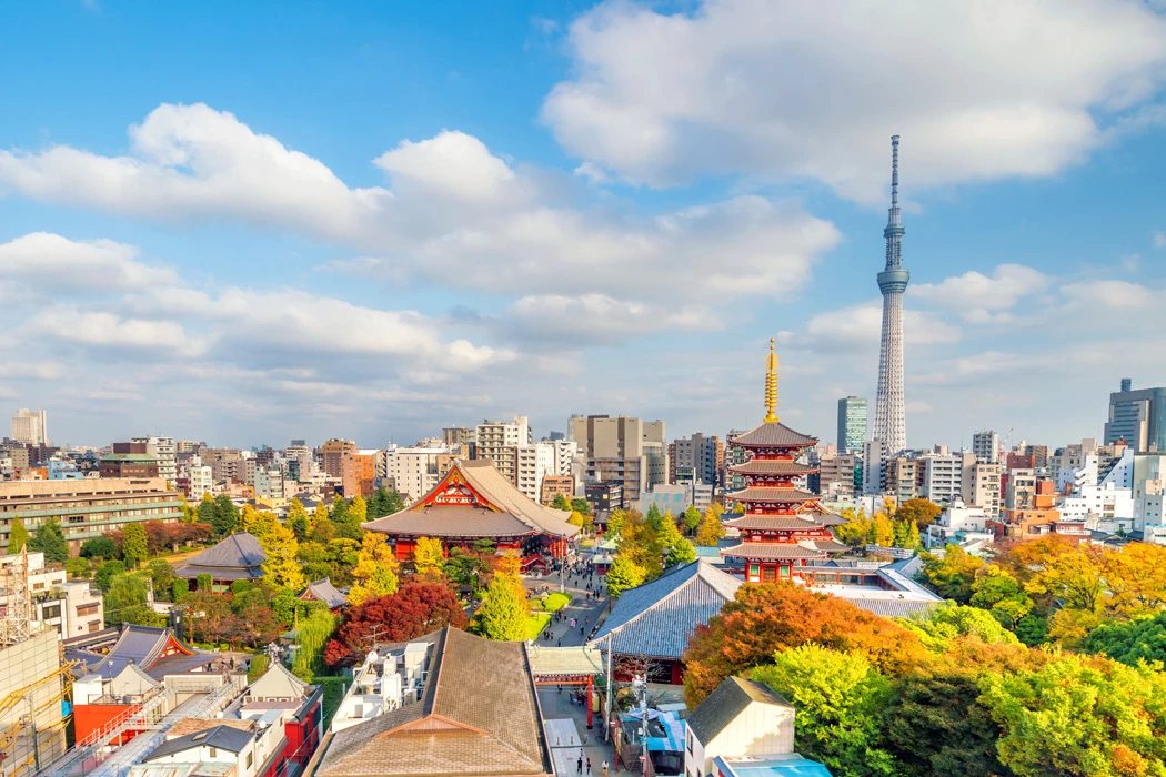 Platinum Doğu Asya’nın Çiçeği ve Güneşi “Güney Kore ve Japonya” (ICN-HND) THY ile 9 gece Seul (3) – Osaka (3) – Kyoto – Nara – Tokyo (3) – Fuji Dağı - Hakone | Tüm turlar ve giriş ücretleri dahil