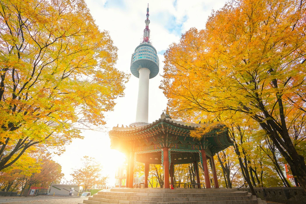 Platinum Doğu Asya’nın Çiçeği ve Güneşi “Güney Kore ve Japonya” (ICN-HND) THY ile 8 gece Seul (2) – Osaka (3) – Kyoto – Kobe - Nara – Tokyo (3) – Fuji Dağı - Hakone | Tüm turlar ve giriş ücretleri dahil