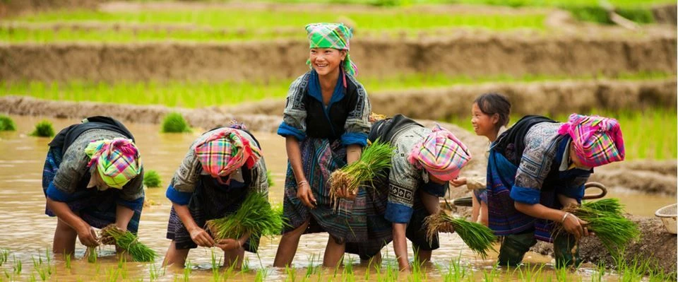 Elegant Vietnam & Laos & Kamboçya Turu Türk Havayolları ile 9 Gece 10 Gün (HAN-SGN)