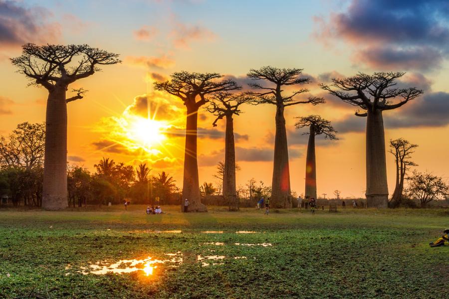 Madagaskar & Mauritius Turu Emirates Havayolları İle 10 Gece 12 Gün 2026 EJ001