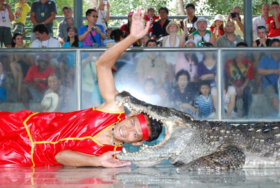 Bangkok, Pattaya, Phuket Turu Sömestre Özel Qatar Hava Yolları İle 7 Gece 9 Gün