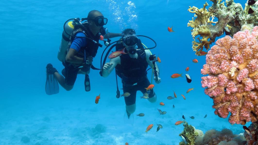 Sharm El Sheikh Turu Türk Hava Yolları ile 4 Gece Otelden Geç Çıkışlı
