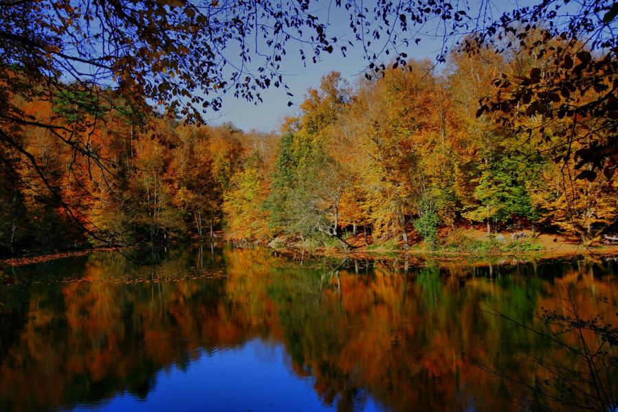 Günübirlik Yedigöller Doğa ve Yürüyüş Turu