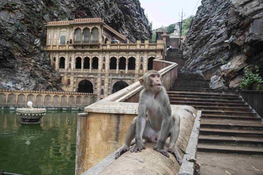 Elegant Bali Turu Qatar Hava Yolları İle 5 Gece 8 Gün (DPS-DPS)