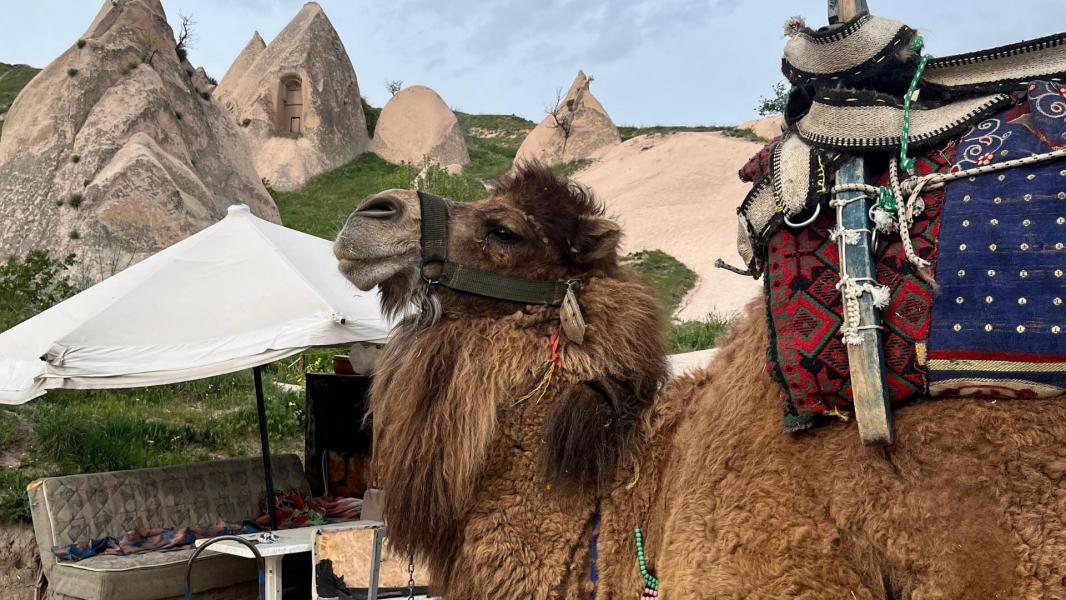 Yılbaşı Özel Kapadokya Turu 1 Gece Otel Konaklamalı