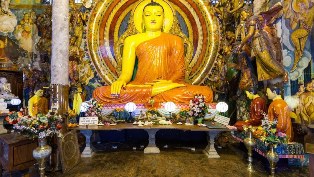 Sri Lanka Turu THY İle 2026 (CMB-CMB) Habarana (2) Kandy (1) Nuwara Eliya (1) Galle (1)