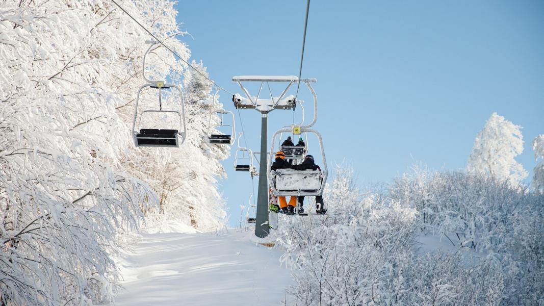 Dedeman Otel Konaklamalı Sapanca Ormanya Maşukiye Kartepe Kayak Turu 2 Gece Otel Konaklamalı