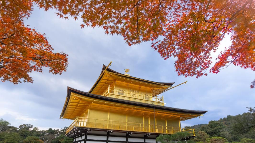 Elegant Japonya & Güney Kore Turu THY İle 9 Gece Konaklamalı ICN-NRT