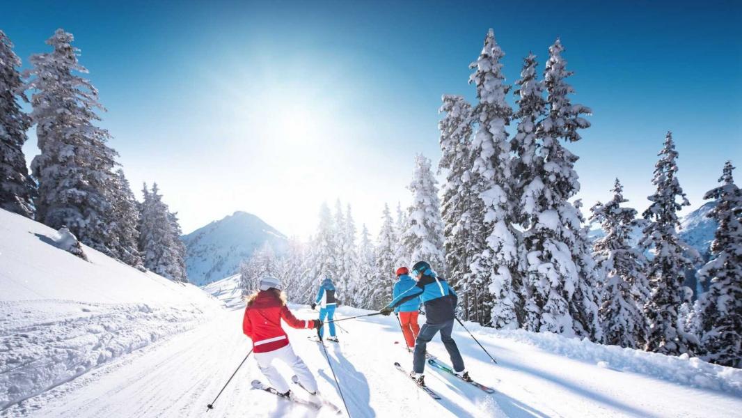 Anatolia Otel Konaklamalı Uludağ Kayak Turu 1 Gece Otel Konaklamalı