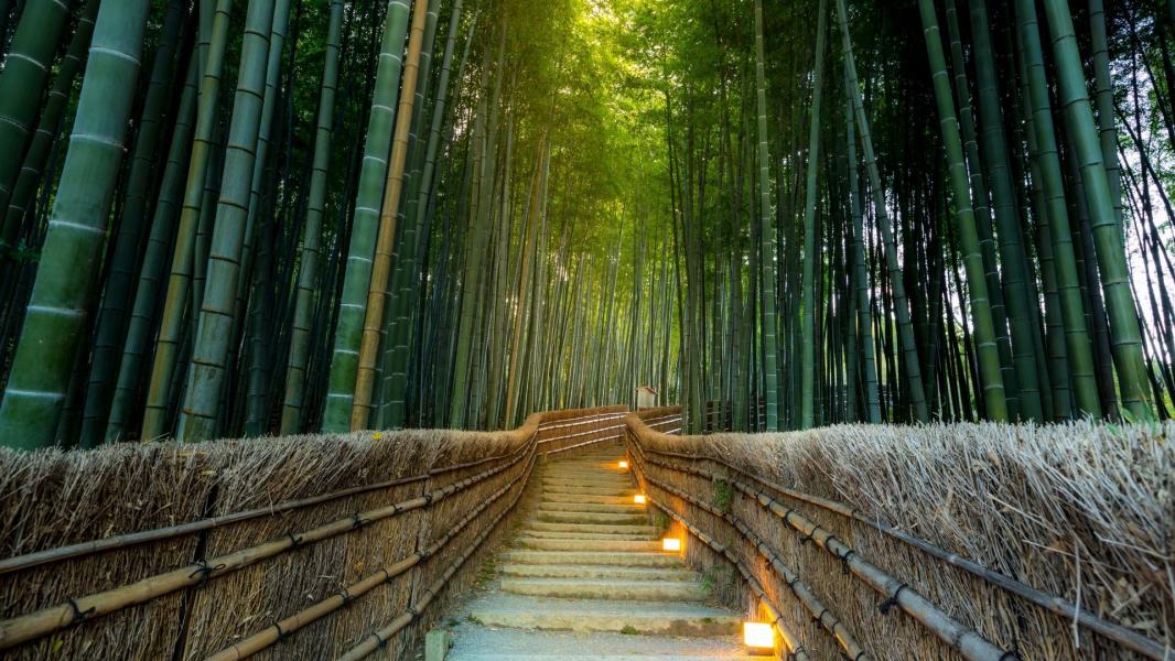 Elegant Japonya & Güney Kore Turu Türk Hava Yolları İle 7 Gece 9 Gün ICN-NRT