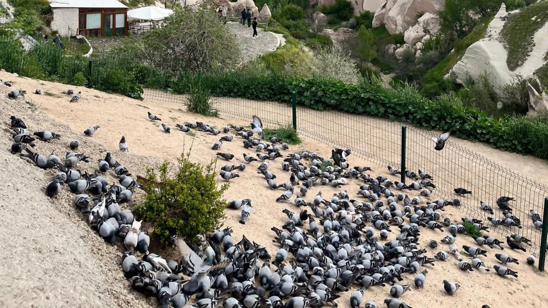 İzmir Çıkışlı Kapadokya Turu 1 Gece Otel Konaklamalı
