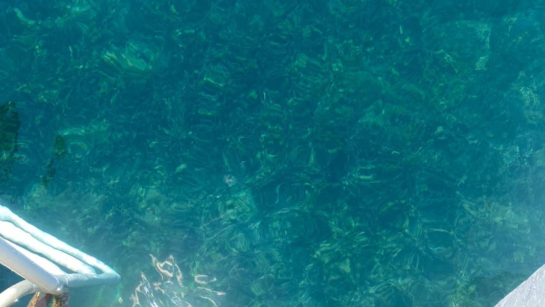 Bozcaada, Assos, Cunda Adası ve Ayvalık Tekne Turu 1 Gece Konaklamalı