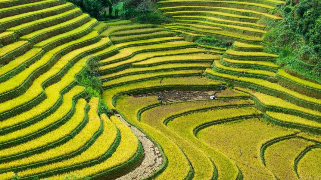 Elegant Bali Ekstra Turlar Dahil Turu Türk Hava Yolları İle 5 Gece Konaklama