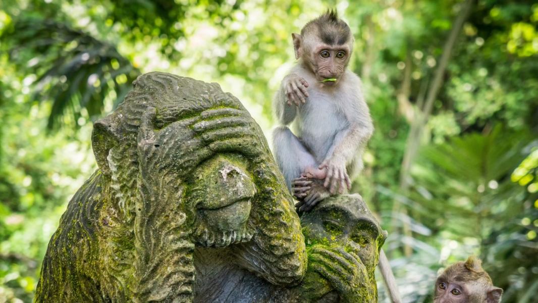 Elegant Bali Ekstra Turlar Dahil Turu Türk Hava Yolları İle 5 Gece Konaklama