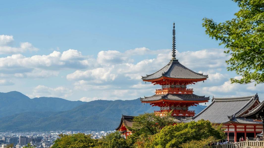 Kurban Bayramı Özel Büyük Japonya Turu 2026 TK (NRT-KIX) Tokyo (5) Osaka (2)