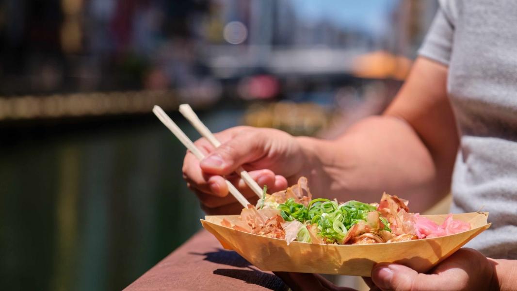 Japonya Kore Turu Türk Hava Yolları NRT İle 12 Gün 