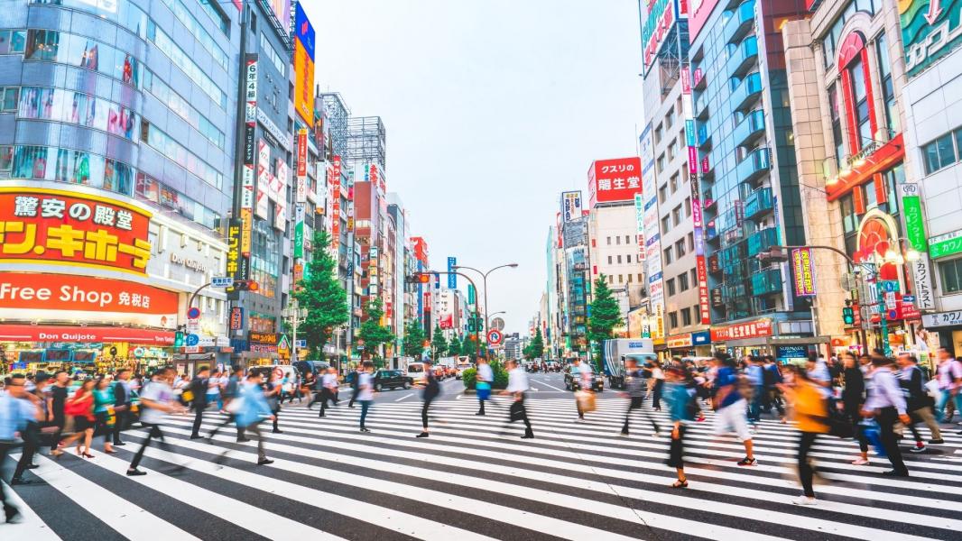 Japonya Kore Turu Türk Hava Yolları NRT İle 12 Gün 