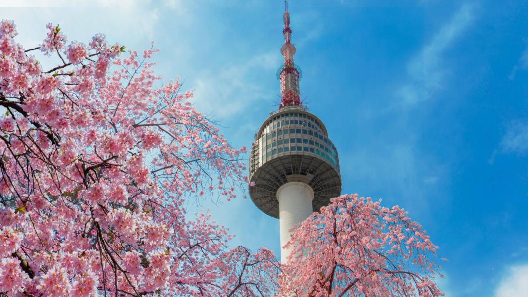 Elegant Güney Kore Turu Ekstra Turlar Dahil Türk Hava Yolları İle 5 Gece Kurban Bayramı Özel