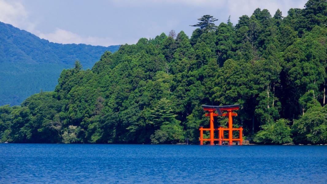 Görkemli Uzaklar Hong Kong & Japonya 8 Gece THY İle 25 Temmuz (2026 Yaz Dönemi) (HKG - NRT) 