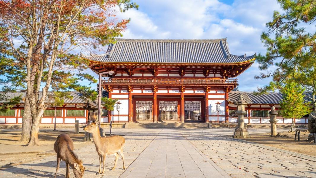 Uzak Doğu’nun Güneşi Japonya Turu THY İle 6 Gece (KIX-HND) Tüm Turlar ve Giriş Ücretleri Dahil