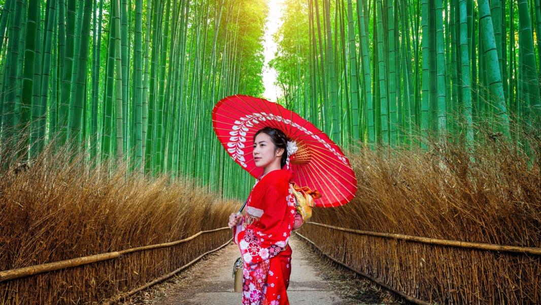 Elegant Japonya ve Kore Turu Türk Hava Yolları İle 7 Gece KIX-NRT