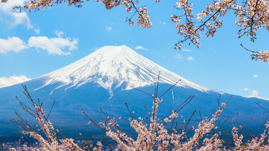 Elegant Japonya ve Kore Turu Türk Hava Yolları İle 7 Gece KIX-NRT