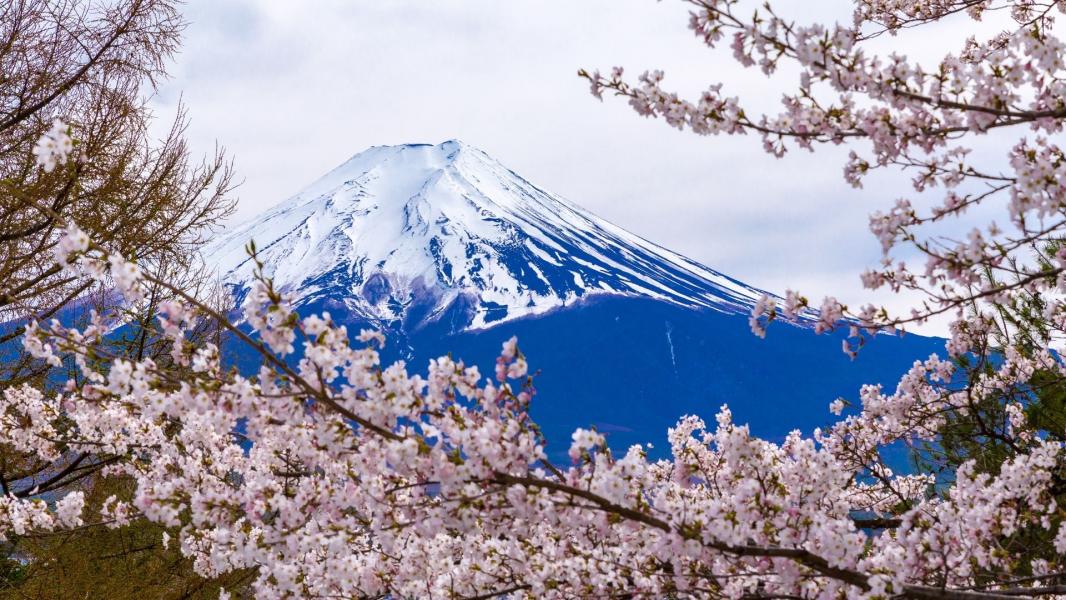 Elegant Japonya ve Kore Turu Türk Hava Yolları İle 7 Gece KIX-NRT