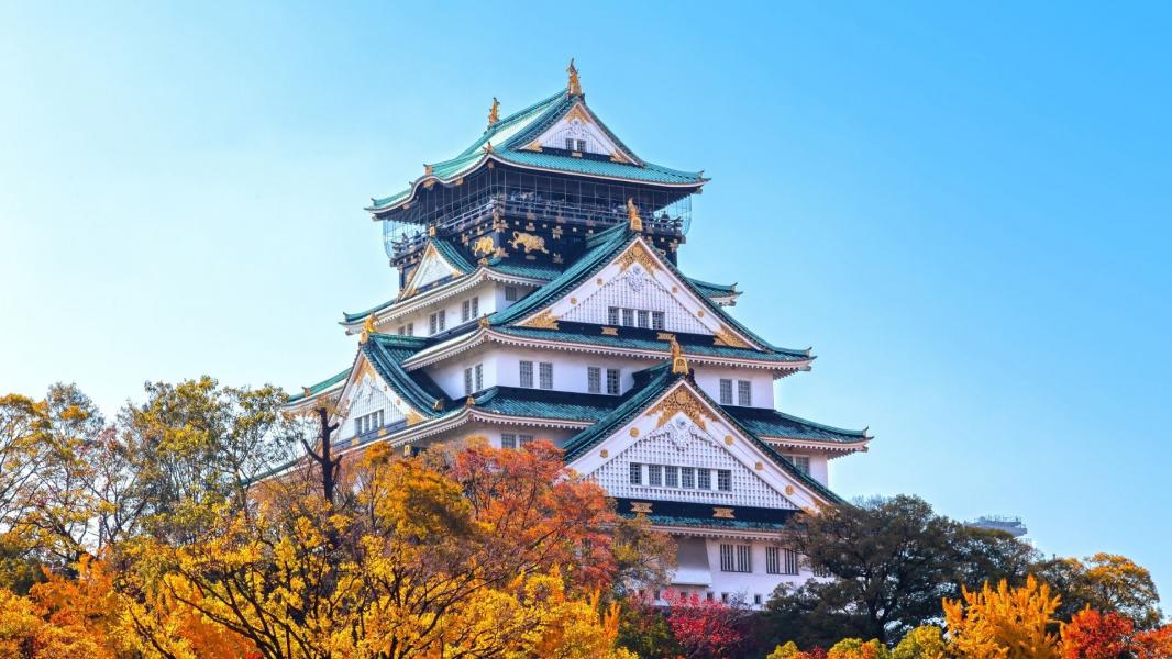 Elegant Japonya ve Kore Turu Türk Hava Yolları İle 7 Gece KIX-NRT