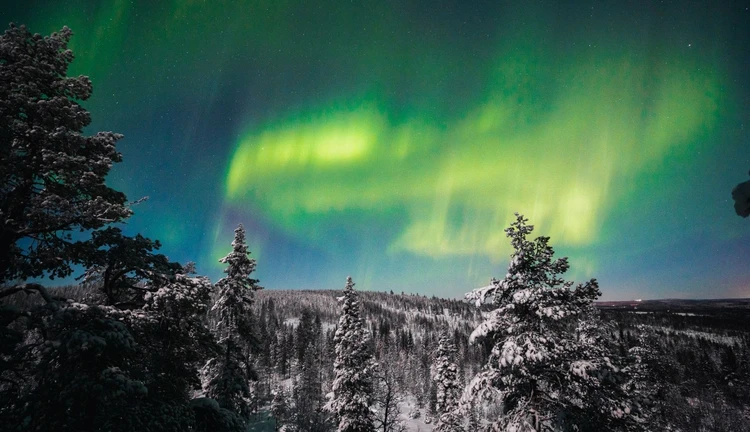Murmansk Kuzey Işıkları, St. Petersburg & Moskova Turu AJet İle 5 Gece Konaklamalı
