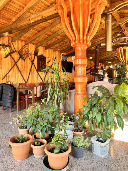 Abant Manzara Butik Otel