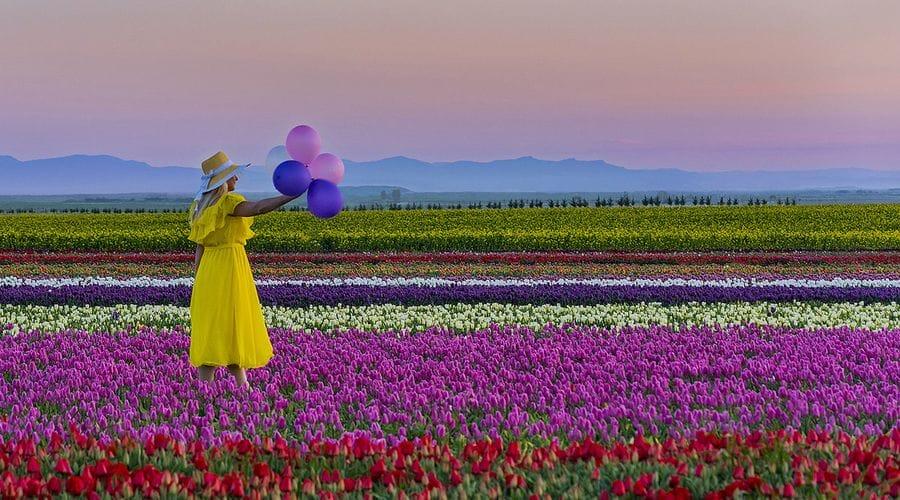 KONYA LALE BAHÇELERİ TURU 