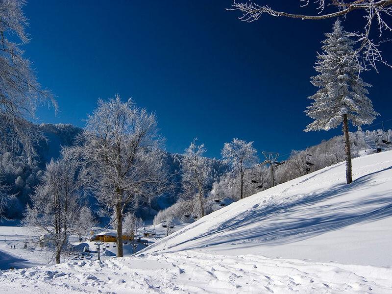 Sapanca Maşukiye Kartepe Turu | 1 Gece Konaklamalı ( Dedeman Hotel )