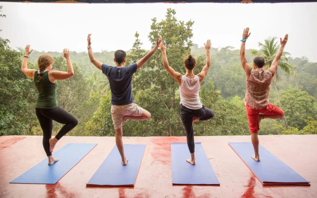 Yoga ve Wellness Turu: Türkiye’nin En İyi Termal Otellerinde Şifalı Bir Kaçış